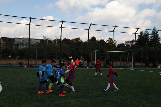 杨瀚森18+11+4帽青岛不敌浙江 新疆大胜上海